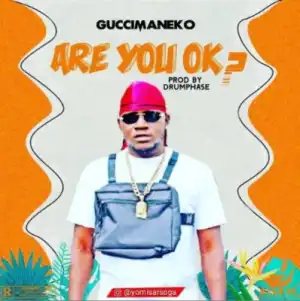 Guccimaneeko - Are You Ok?